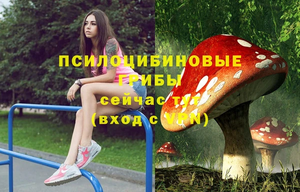 a pvp Медвежьегорск