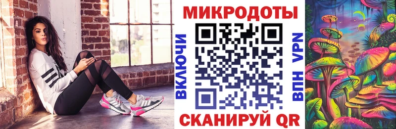 Галлюциногенные грибы Psilocybe  купить   shop Telegram  Нерчинск 